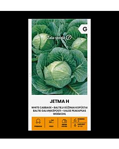 Семена ЗЕЛЕ JETMA H - СК