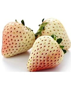 ягоди White Pineberry