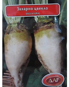 Захарно цвекло. Аграра ООД. Сортови семена Варна.