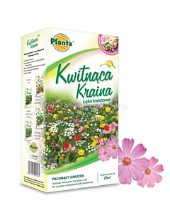 ПЛАНТА ЦЪФТЯЩА ЗЕМЯ -УХАННИ ЦВЕТЯ ЗА 25 кв.м Kwitnaca Kraina - Pachnacy Zakatek