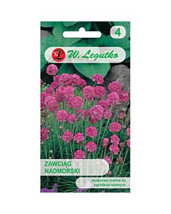 ЛГ АРМЕРИА РОЗОВА Armeria maritima pink