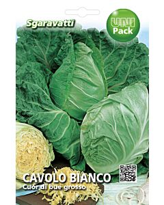 Семена зеле Сърцевидно`SG - cabbage Cuor di bue`SG 