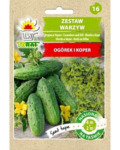 Комплект зеленчуци на лента - краставица и копър - 6 м