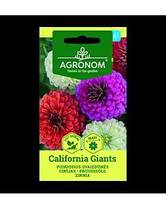 ЦИНИЯ КАЛИФ. ГИГАНТ ZINNIA, CALIFORN.GIANTS  СК 