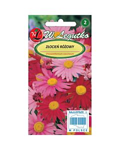 ЛГ ХРИЗАНТЕМА МИКС Chrysanthemum coccineum mixture