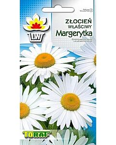 Хризантема Бяла маргарита - Chrysanthemum  leucanthemum - 1г