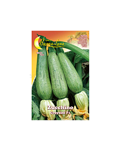 Тиквички GREYZINI F1 MEGA PACK - BL