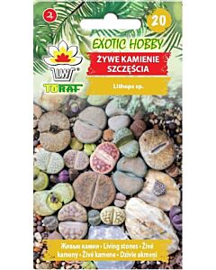 Живи камъчета (Литопс)-Lithops-20 броя