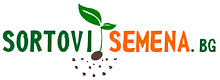 Sortovi Semena Sortovi Semena