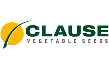 Clause